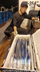 제주에이스호!!(8월2~4일)북제주권갈치조황입니다010 35483472~010 3860 3472{9.77톤22인승14석운영