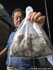 16일 야간 돌문어 조황 입니다