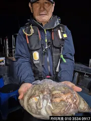 29일 야간 돌문어 조황 입니다