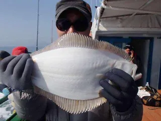 인천★´″덕적도.심해먼바다4/6우럭배낚시40~80m권 심해,어초침선 출조조황