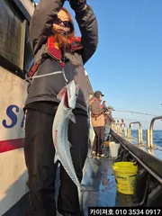 20일) 시즌졸업 방어삼치&볼락열기시즌오픈