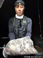 6일 & 8일 야간 돌문어 조황!