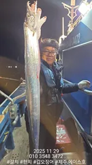 제주에이스호!!(11월28일)제주갈치조황입니다010 35483472~010 3860 3472{9.77톤22인승12석운)전좌석봉돌투등기장착 청결은보장