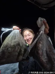 01일 야간 돌문어 조황!