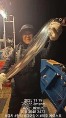 제주에이스호!!(11월20 ~21일)제주갈치조황입니다010 35483472~010 3860 3472{9.77톤22인승12석운)전좌석봉돌투등기장착 청결은보장