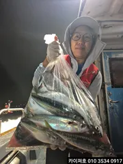 27일 시장급 고등어.왕전갱이 조황