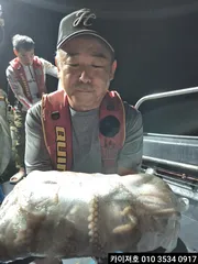 1일 야간 돌문어 조황입니다