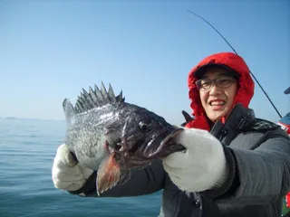 인천★´″덕적도.심해먼바다4/8우럭배낚시40~80m권 심해,어초침선 출조조황