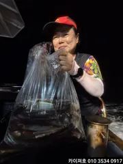 7일야간 오징어 조황~!!