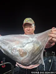 29일 야간 돌문어 조황!