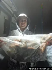 28일 야간 돌문어 조황 입니다
