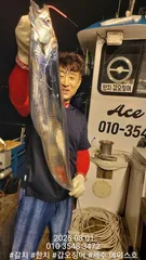 제주에이스호!!(8월1일)북제주권갈치조황입니다010 35483472~010 3860 3472{9.77톤22인승14석운영