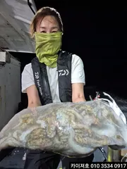 29일 야간 돌문어 조황!