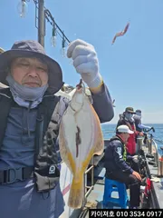 15일 도다리.참가자미 조황!