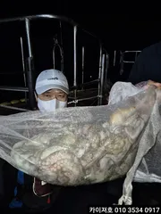 10일 주야 11일 야간 돌문어 조황!