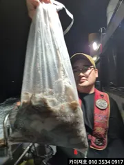 카이져호)다음주 돌문어 출항 일정 입니다