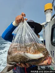 3일)오전 도다리 참가자미 조황~!!