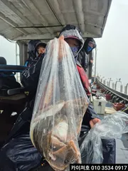 18일 왕다리 참가미 잘 나왔어요~!!