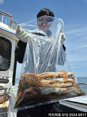 12일 오전 도다리 참가자미 조황