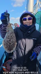 제주에이스호!!(2월3일)뚱갑이조황입니다010 35483472~010 3860 3472{9.77톤22인승14석운)청결은보장