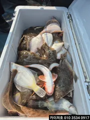 11일 오전 왕도다리참가자미 엄버지기~!!