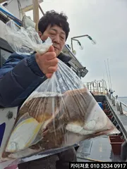 15일 오전 왕도다리참가자미 잘 나옵니더~ㅎ