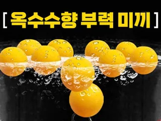 ■제일레져■ 진하고 오래가는 옥수수향! 붕어/잉어/송어 킬러! 옥수향 부력 미끼 출시!