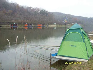 "부연지" 기대치 못했던 붕어 손맛!!