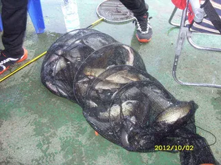 "부연지" 추석 연휴 시리즈"one" (10월1일~2일)