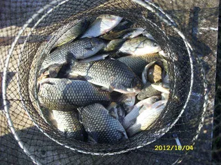 "부연지"  이어지는 호조황!!