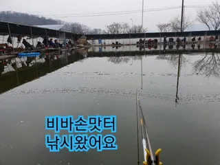 비바손맛터  진한손맛