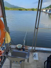 아산 산들 낚시터 조황 입니다,,,,( 터 졌습니다,,,,) 