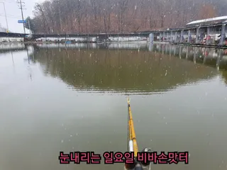 눈내리는 비바손맛터 