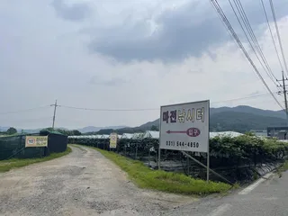 스승님 응원차 방문한 마전낚시터