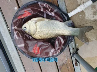 상덕낚시터 낮낚시 밤낚시 
