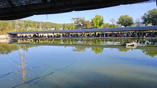 2023 열두번째 조행기