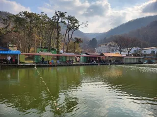 만추의 계절  성주리 낚시터로의 낚시여행 