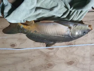 못생김 주의 ㅎㅎ