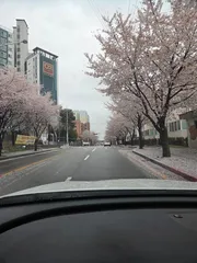 오랜만에 찾아간 여주관광농원 낚시터.. 그리고 짜릿한 손맛