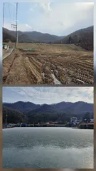 2026년 첫물낚시 다녀왔습니다.