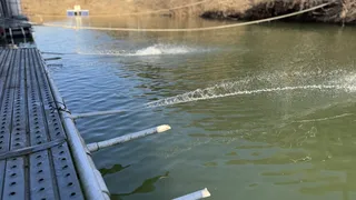 이 추위에도 붕어 얼굴을 보이는 성주리낚시터