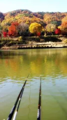 여주시 관광농원낚시터
