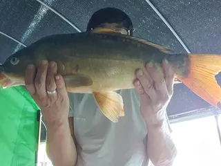 향어 최대어 등극 ㅎㅎ