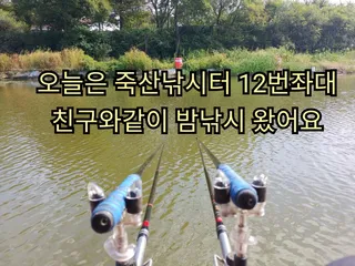 죽산지 어제 밤낚시