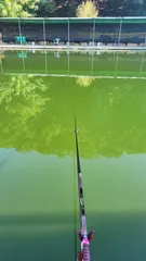 2022년도 네번째 조행기