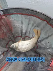 바람불고 추워도 낚시  