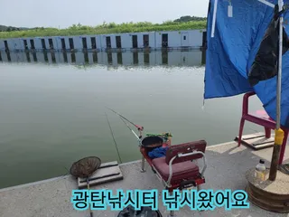 어제 광탄낚시터 조황