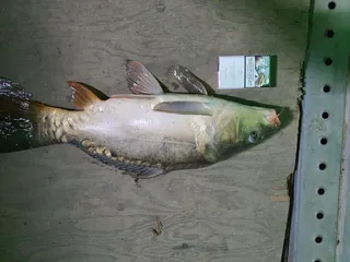 휴가 선물 ㅋㅋ 