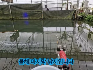 올해 마지막 낚시 