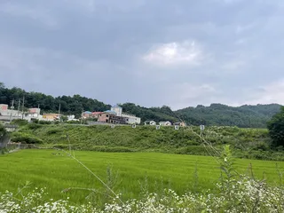 장광낚시터에서 경원스탭 정기모임을 갖다